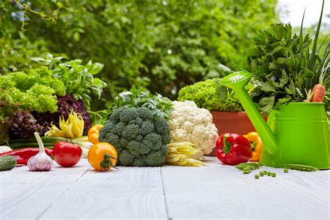  Kitchen Gardens: Growing Vegetables For Beginners! – A Bountiful Harvest of Knowledge and Delight